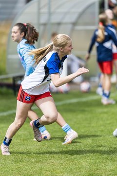 Bild 146 - wBJ HSV Leistungsvergleich